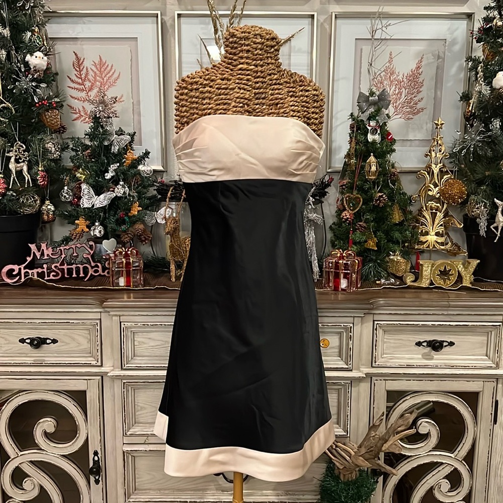 Size 4 Levkoff party dress